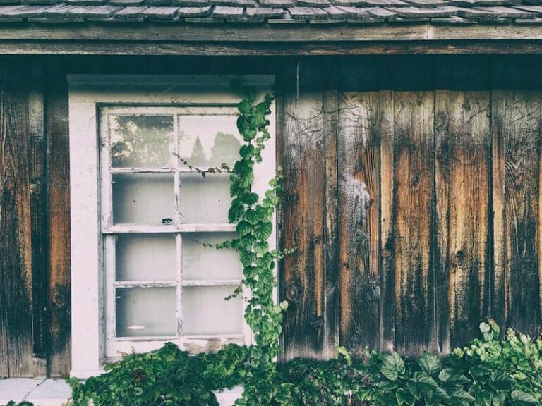 wooden wall with white window and ivy