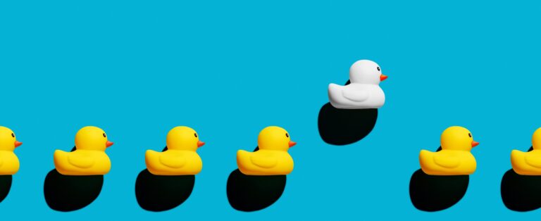 yellow rubber ducks with 1 white rubber duck